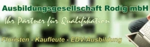 Rodig mbH
